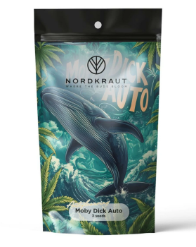 Samen 3x Moby Dick Automatik Nordkraut